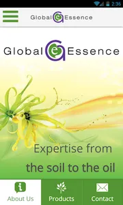 Global Essence UK Ltd screenshot 0