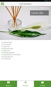 Global Essence UK Ltd screenshot 4