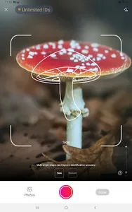 Picture Mushroom - Mushroom ID screenshot 10