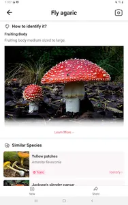 Picture Mushroom - Mushroom ID screenshot 13