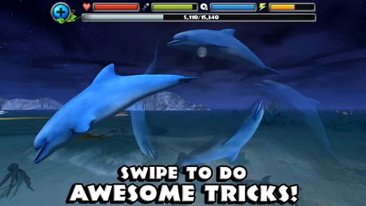 Dolphin Simulator screenshot 12