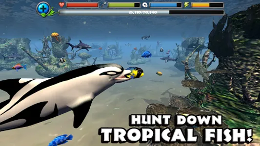 Dolphin Simulator screenshot 8