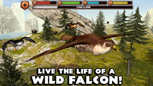 Falcon Simulator screenshot 0