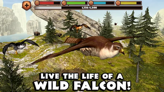 Falcon Simulator screenshot 5