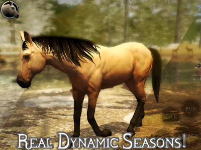 Ultimate Horse Simulator 2 screenshot 6