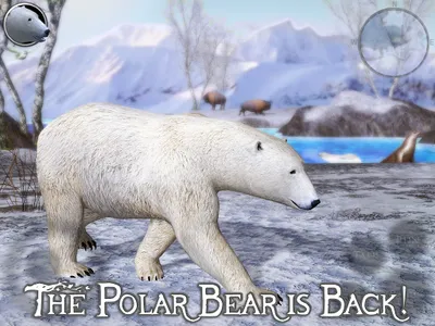 Polar Bear Simulator 2 screenshot 10