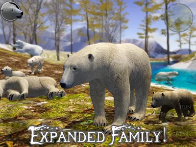 Polar Bear Simulator 2 screenshot 13