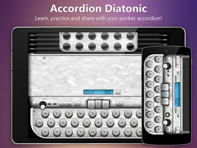 Accordion Diatonic screenshot 0