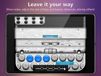 Accordion Diatonic screenshot 9