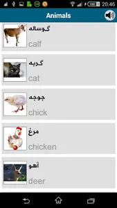 Learn Persian (Farsi) screenshot 13