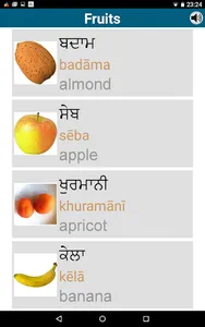 Learn Punjabi - 50 languages screenshot 22