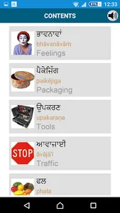 Learn Punjabi - 50 languages screenshot 4