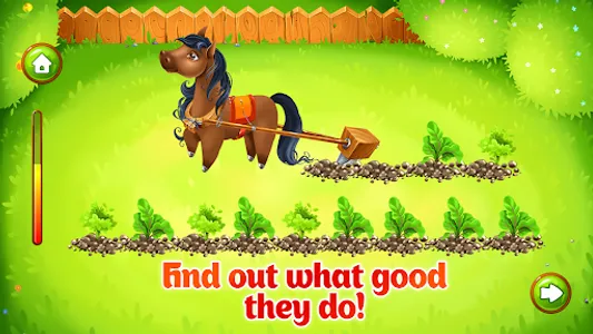 Kids Animal Farm Toddler Games screenshot 16