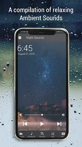 Ambient Sounds screenshot 7