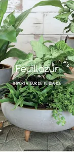 FEUILLAZUR screenshot 4
