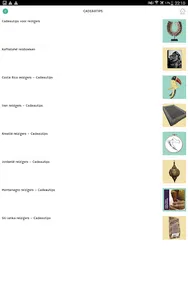 REiSREPORT: Reisgidsen & meer screenshot 13