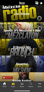 LaMezcla Music screenshot 1