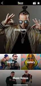 LaMezcla Music screenshot 9