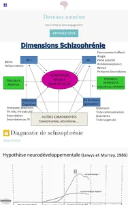 rétablissement & schizophrénie screenshot 15