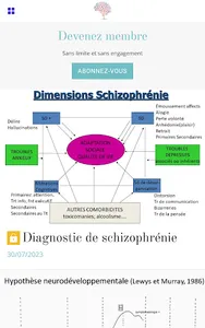 rétablissement & schizophrénie screenshot 9
