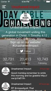Unashamed Impact screenshot 2