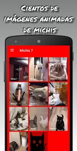 Gif de gatos divertidos screenshot 0