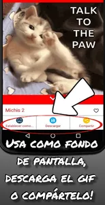 Gif de gatos divertidos screenshot 1