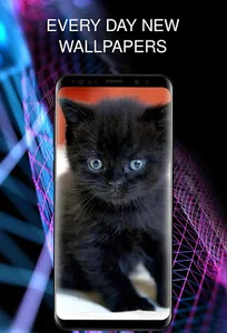 Wallpapers with cats screenshot 0