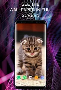 Wallpapers with cats screenshot 1