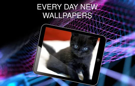 Wallpapers with cats screenshot 10