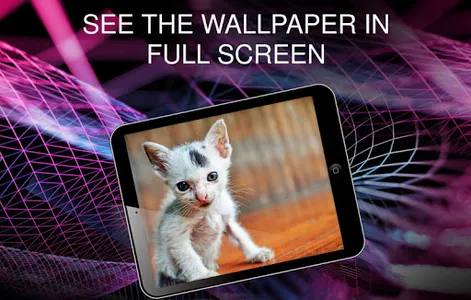 Wallpapers with cats screenshot 11