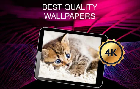 Wallpapers with cats screenshot 12