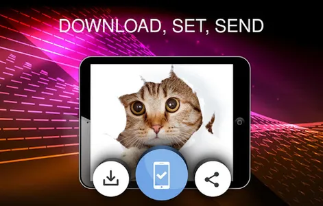 Wallpapers with cats screenshot 13