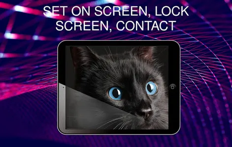 Wallpapers with cats screenshot 14