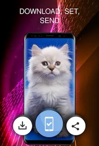 Wallpapers with cats screenshot 2