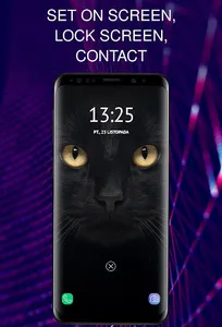 Wallpapers with cats screenshot 4