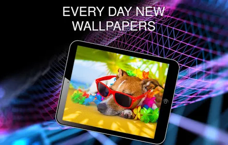 Funny wallpapers screenshot 10