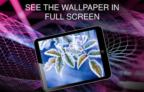 Winter wallpapers screenshot 11