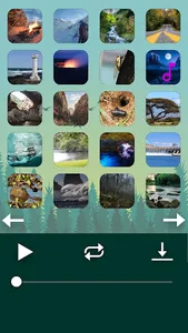 Nature soundscapes — relax screenshot 2
