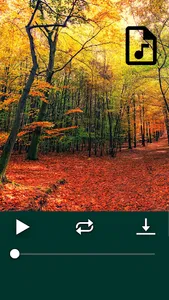 Nature soundscapes — relax screenshot 4
