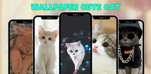 Wallpaper Cat Cute HD screenshot 0