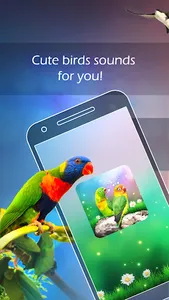 Bird Sounds and Ringtones screenshot 0