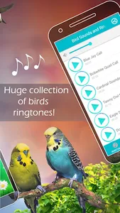 Bird Sounds and Ringtones screenshot 1