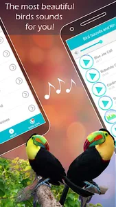 Bird Sounds and Ringtones screenshot 2