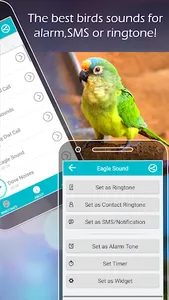 Bird Sounds and Ringtones screenshot 3
