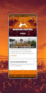 Roskilde Festival screenshot 1