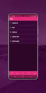 Vig Festival screenshot 5