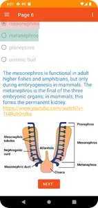 Embryology screenshot 2