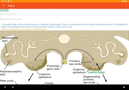 Embryology screenshot 6