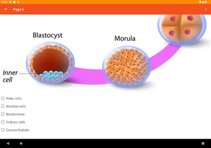 Embryology screenshot 8